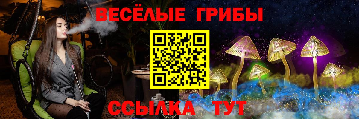 Ангарск  Галлюциногенные грибы MAGIC MUSHROOMS  Вход с VPN 